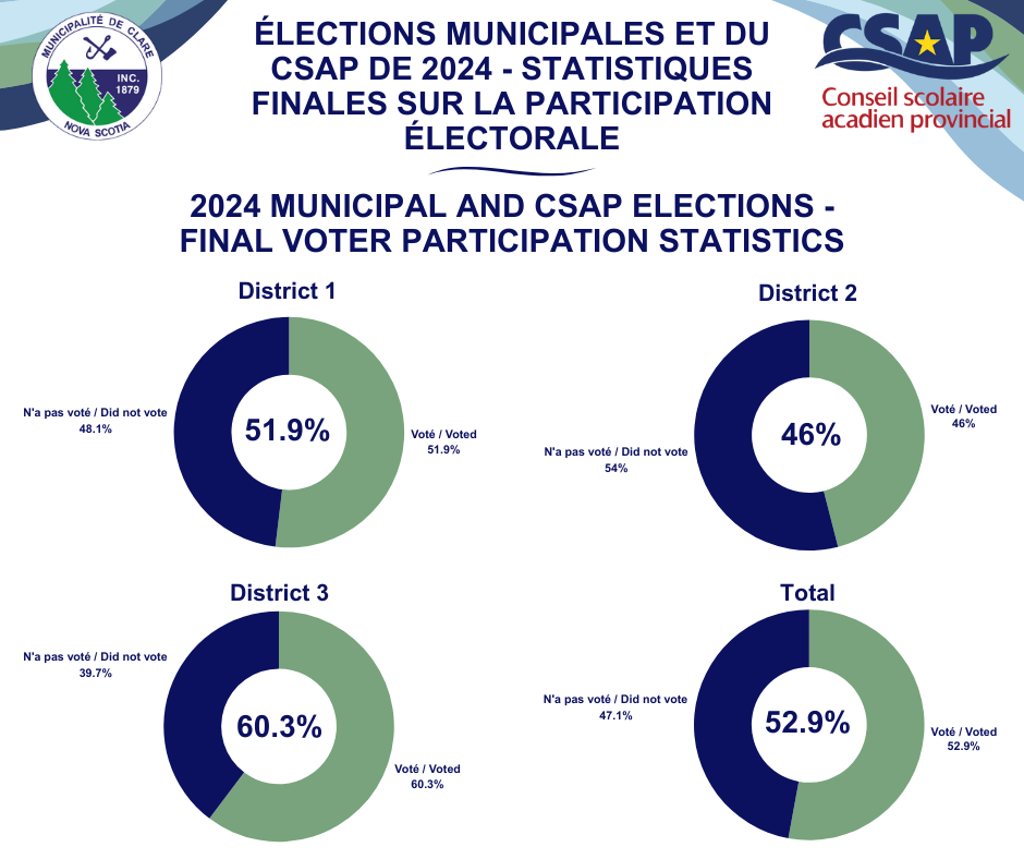 Voter participation statistics image final